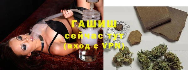 шишки Медвежьегорск