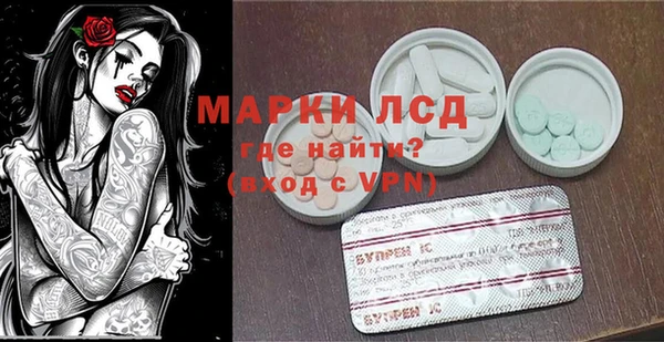 шишки Медвежьегорск