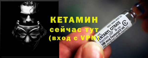 шишки Медвежьегорск