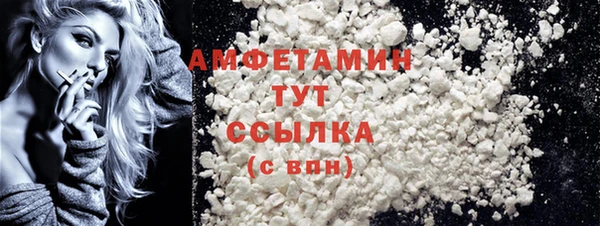 хмурый Мегион