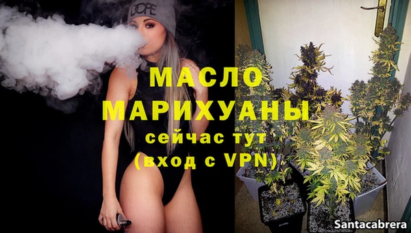 шишки Медвежьегорск