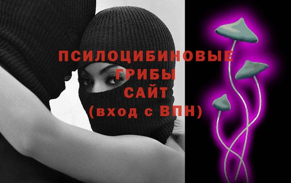 хмурый Мегион