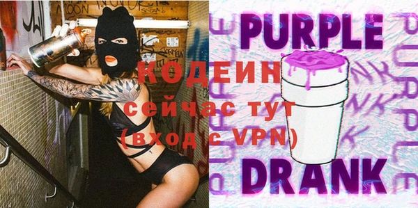 шишки Медвежьегорск